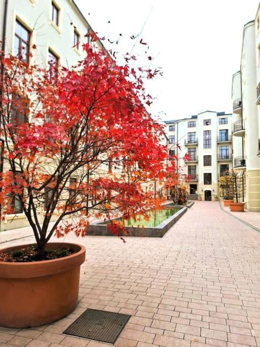 Gold City Point Piotrkowska 37 Łódź Dış mekan fotoğraf